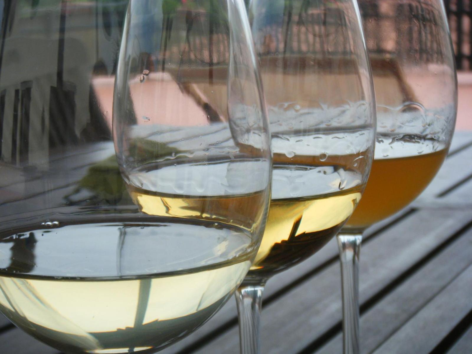 Prepotto  Agriturismo Grillo Iole Winery מראה חיצוני תמונה