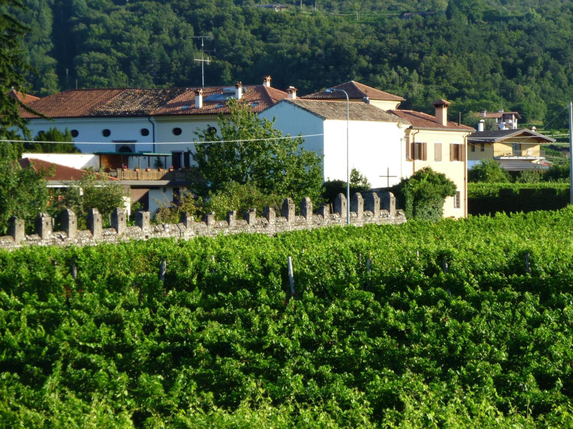 Prepotto  Agriturismo Grillo Iole Winery מראה חיצוני תמונה